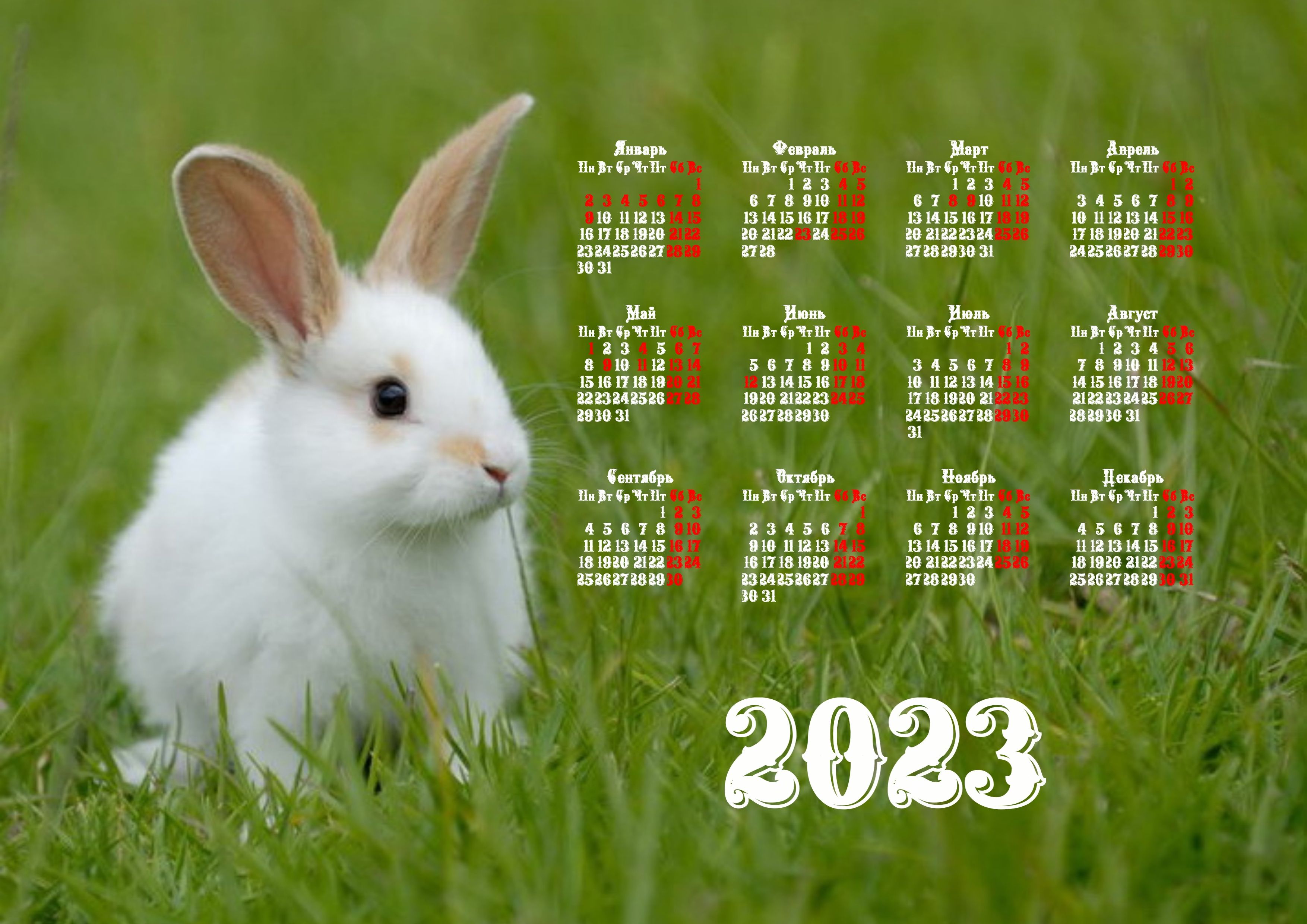Год 2023 По Календарю Гороскоп