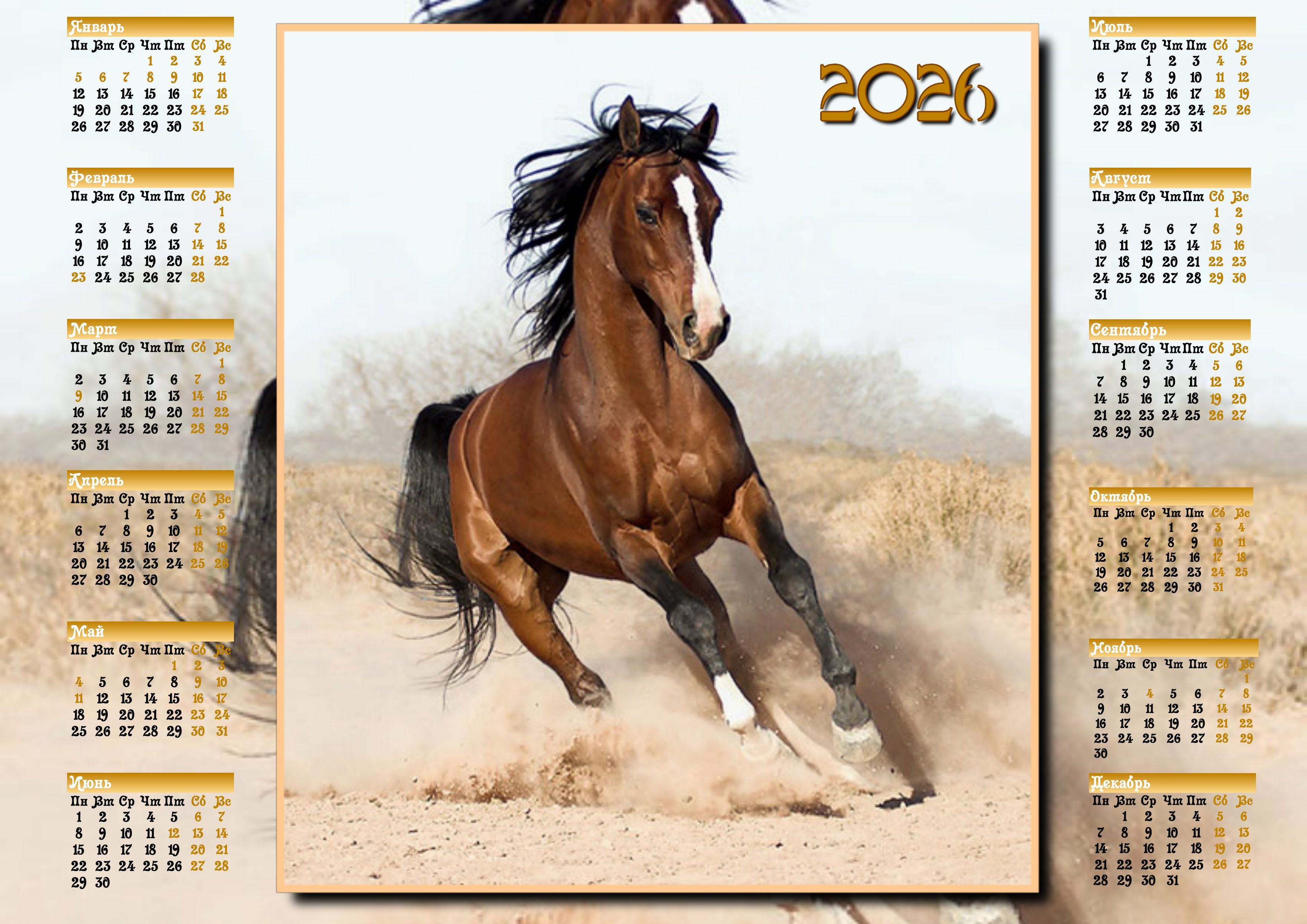 Гороскоп Лошадь 2023 Год Женщина