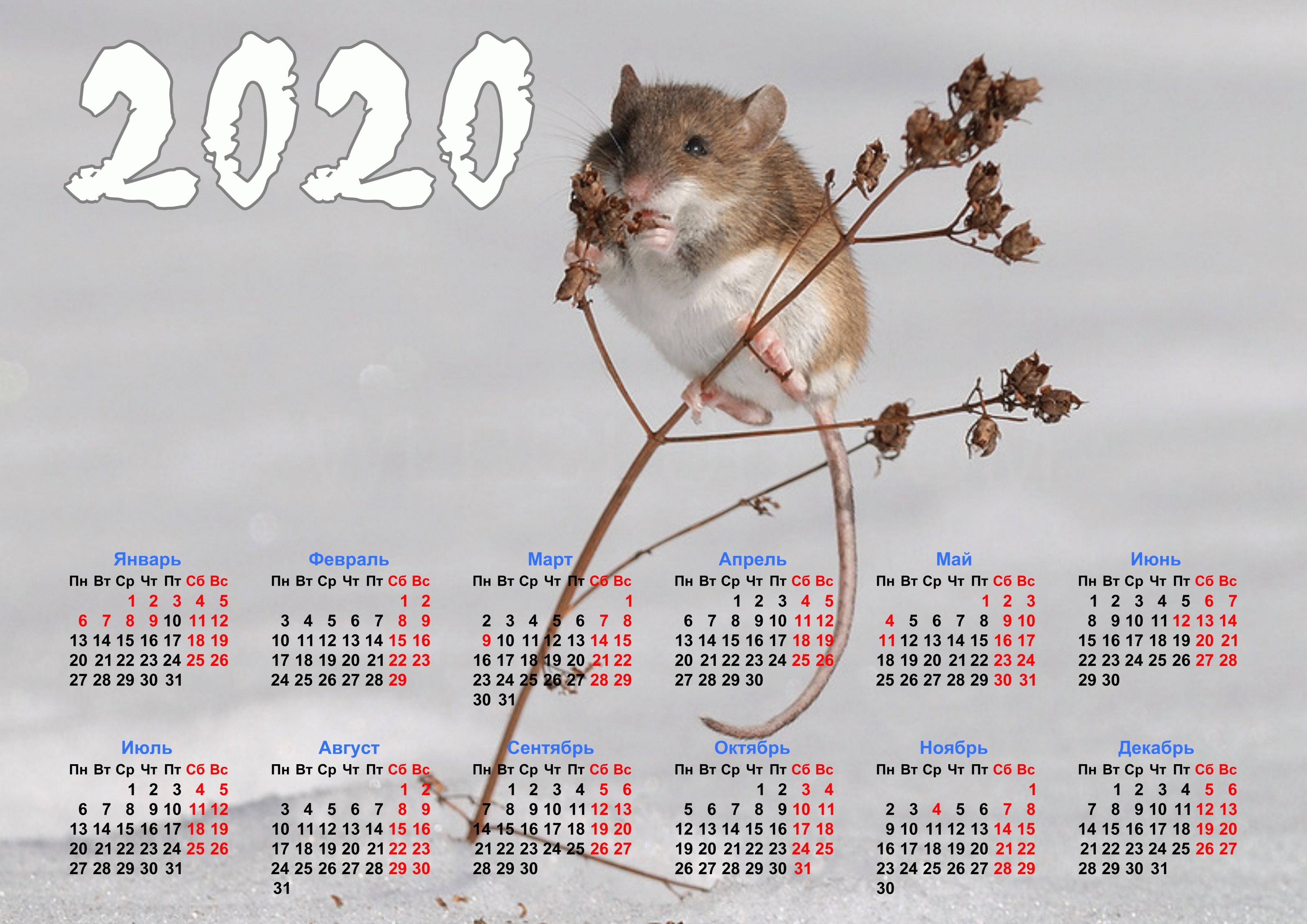 Январь 2023 года календарь. Календарь. Календарь 2020г. Календарь на 2020 год. Календарь на 2023 год.
