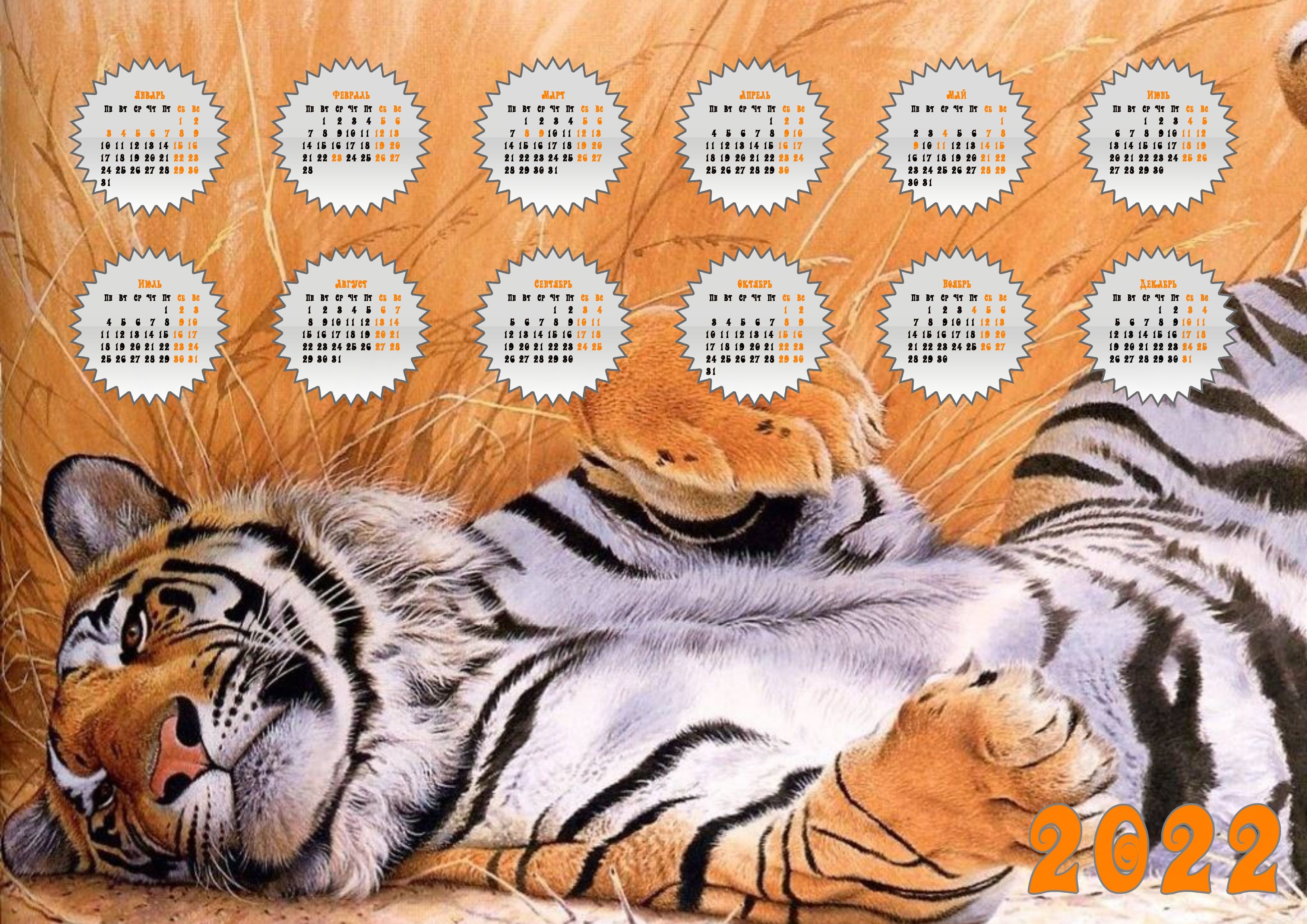 Год тигра 2025. Календарь год тигра. Календарь год тигра 2022 год. Календарь на 2022 год NBUGF. Календарь 2022 с тигром.
