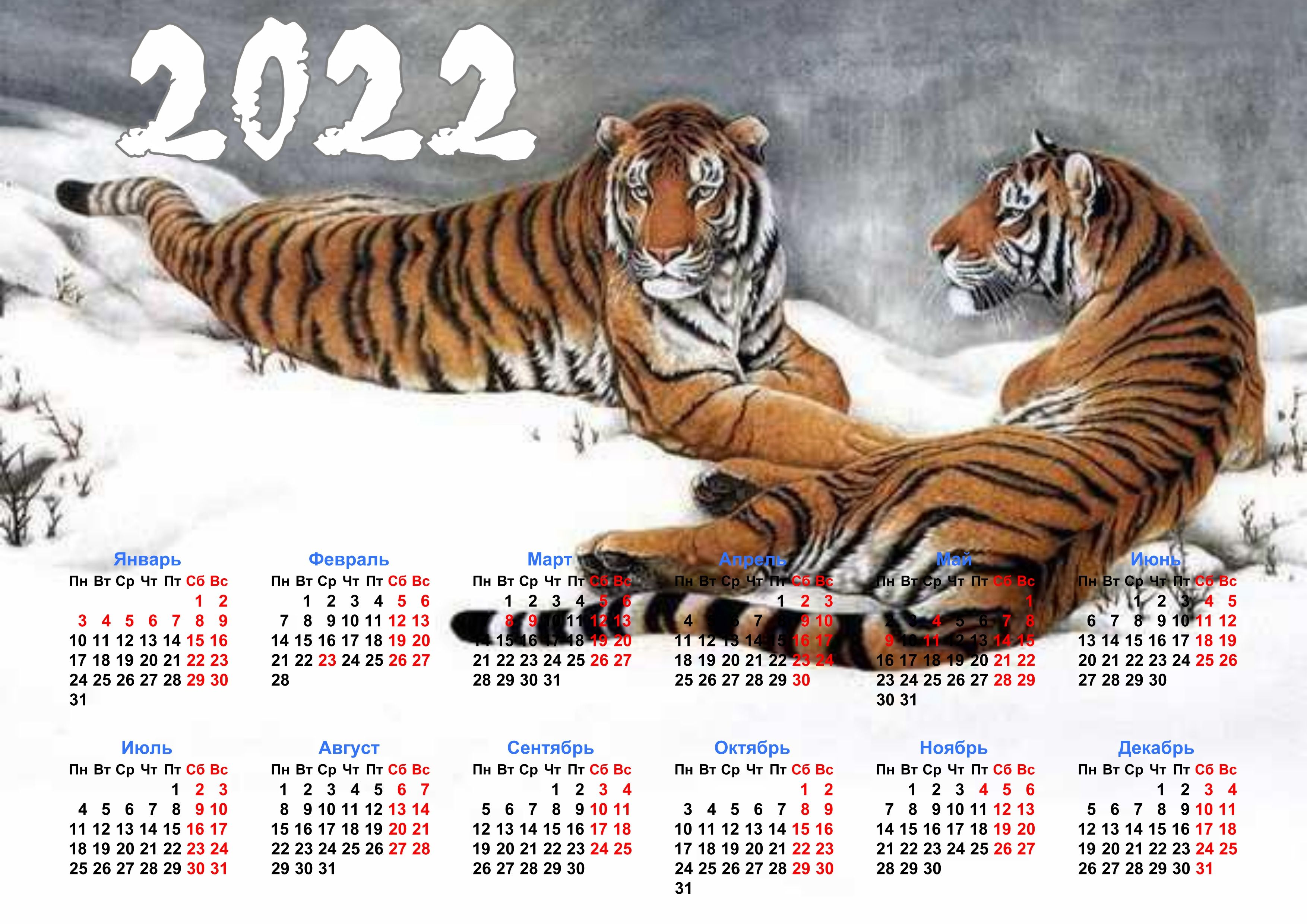 Календарь открытка 2024. 2022 Год черного водяного тигра. Календарь 2022 год. Производственный календарь на 2022 год. Календарь 2022 с тигром.