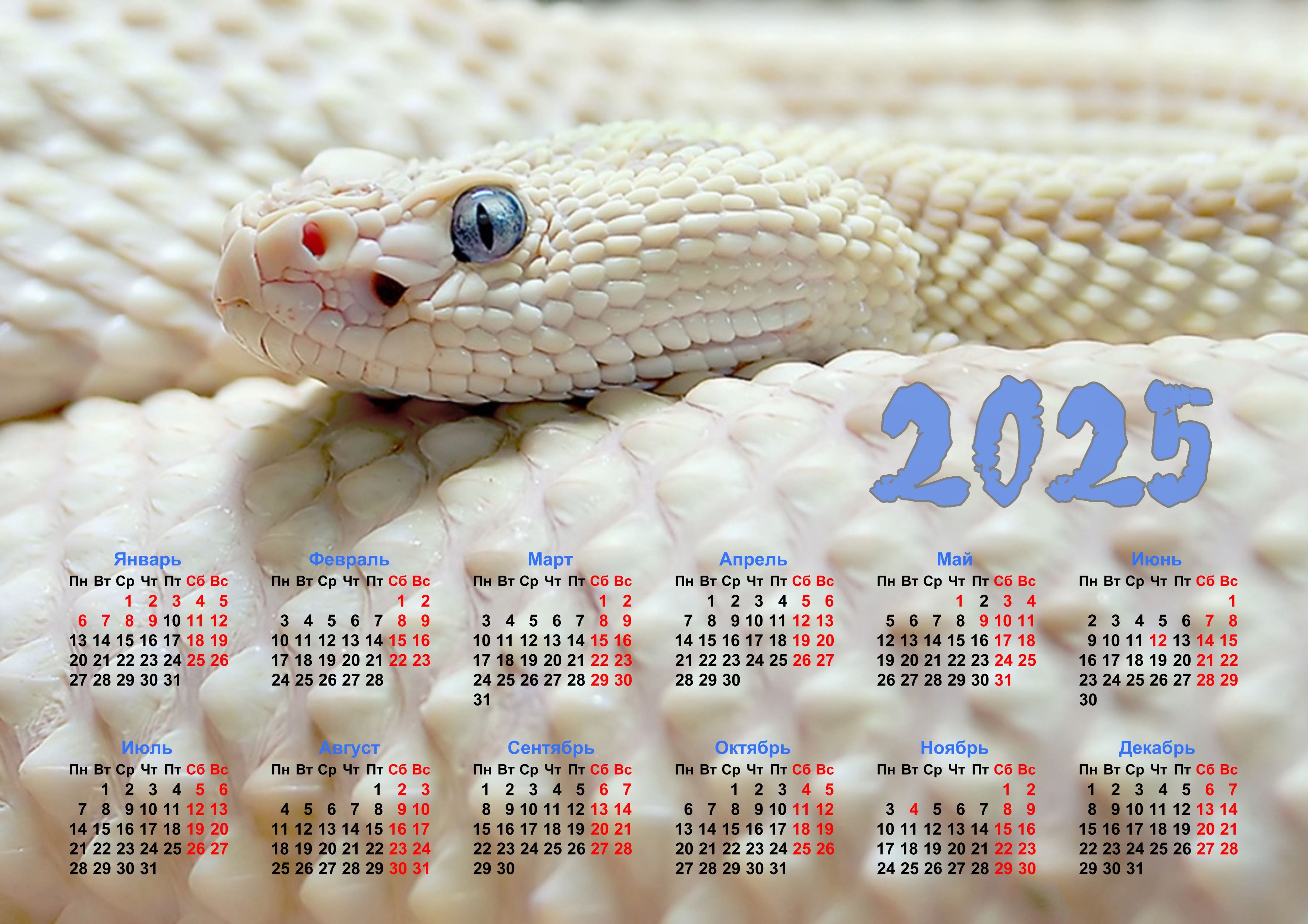 Календарь какой следующий год. Календарь 2022. Календарь на 2025 год. Календарь на 2022 год картинки. Календарь на 2022-2025 год.