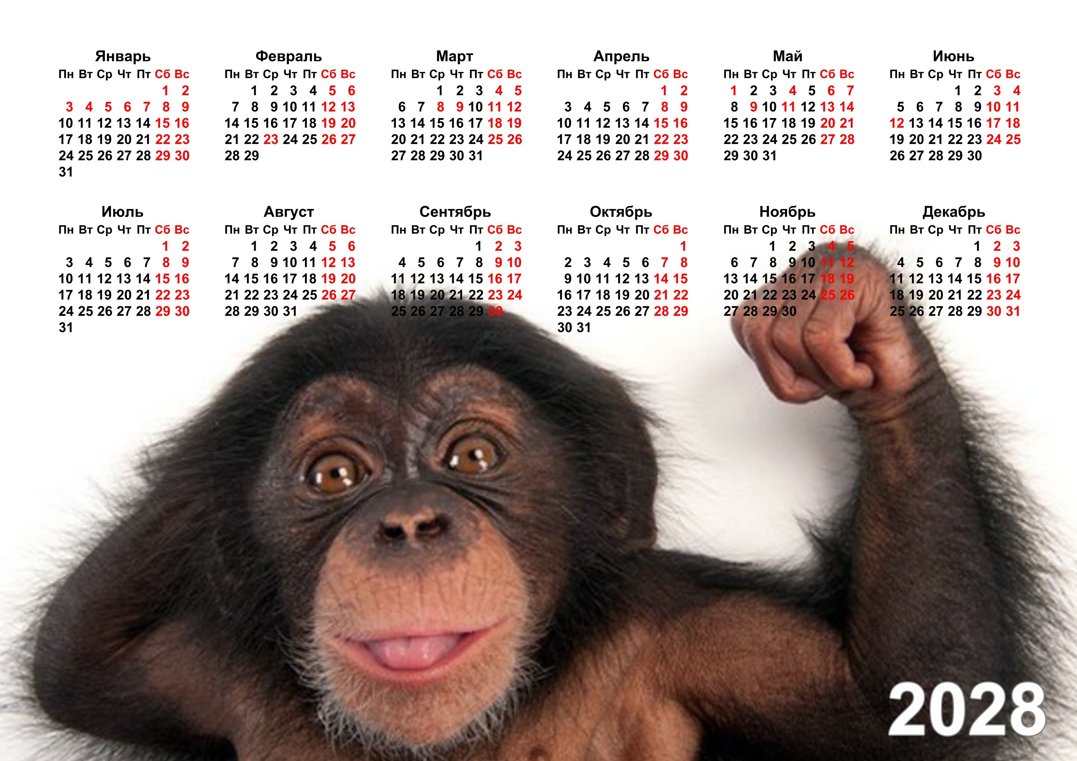 Обезьяна 2023 год. Год обезьяны. Календарь 2028. Календарь с животными. Календарь с обезьяной.