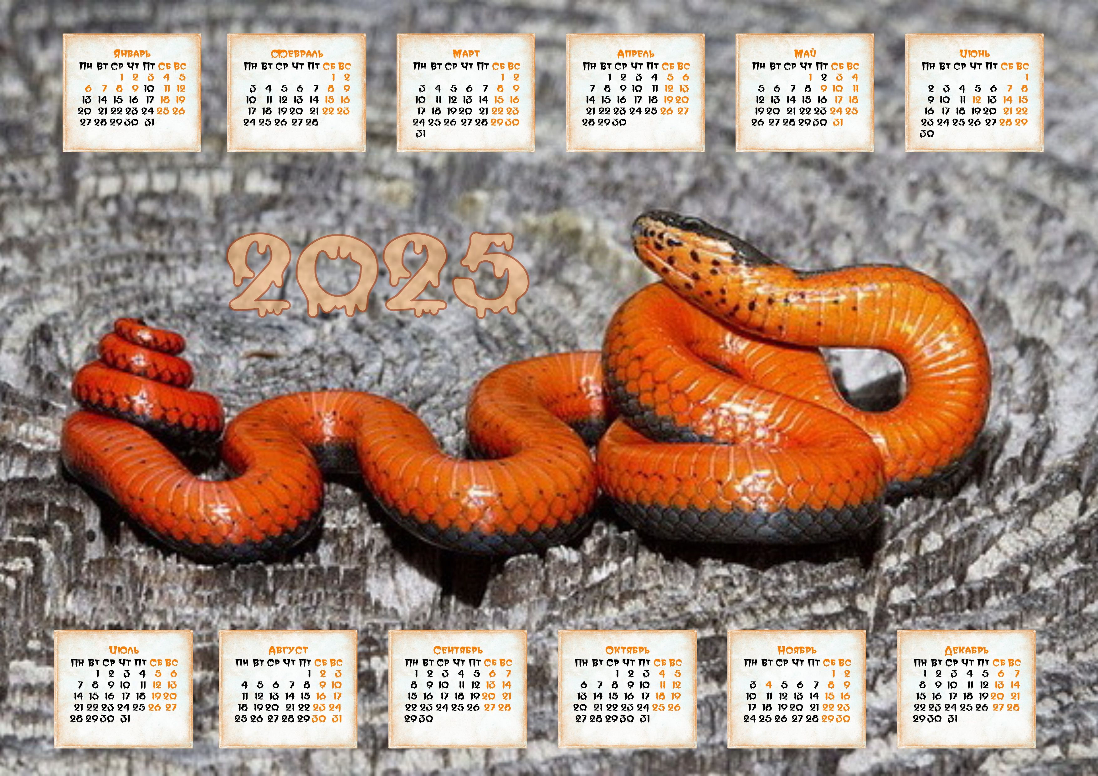 Следующий год змеи. Календарь на 2023 год. Календарь 2025. Календарь дракон. Календарь на 2025 год.