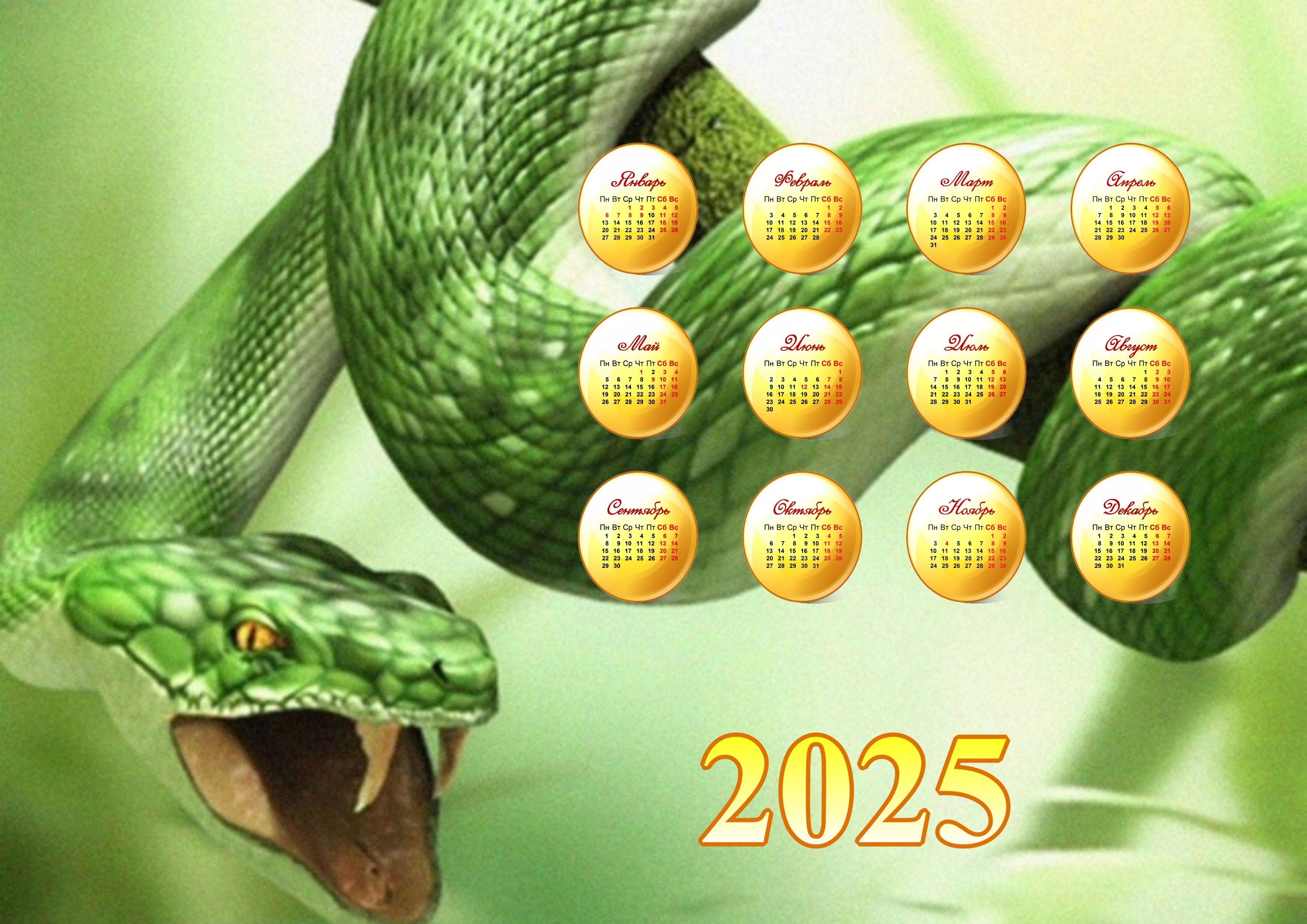 Следующий год змеи. Год змеи 2025. Календарь 2025. Календарь змеи. Год 2025 змея.